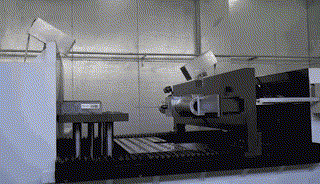针刺~1.gif