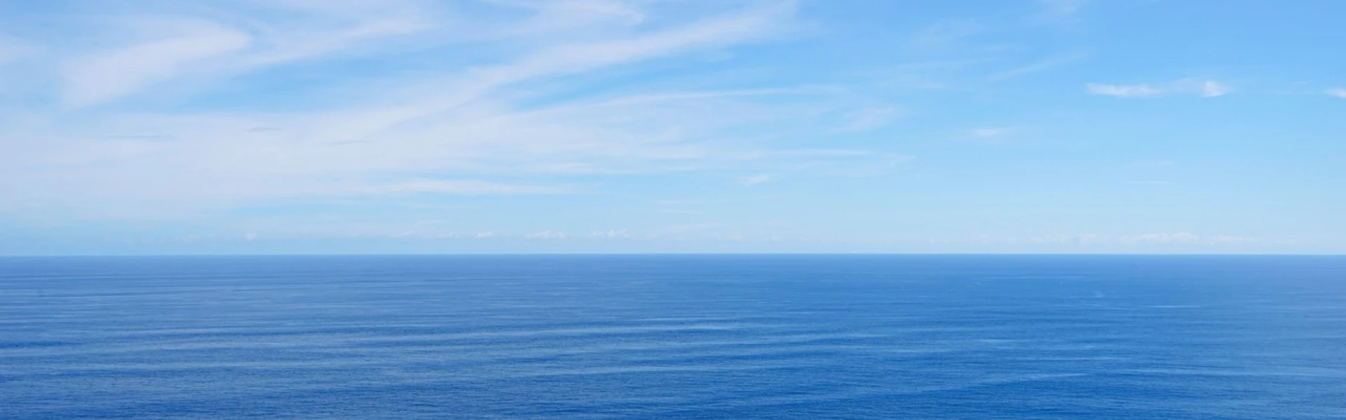 ne1_banner_pc_.webp